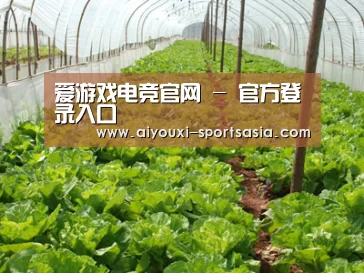 种植基地五