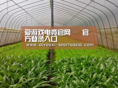 种植基地四