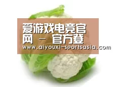 产品名称九