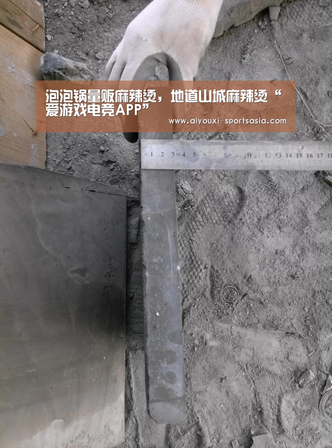 爱游戏电竞官网