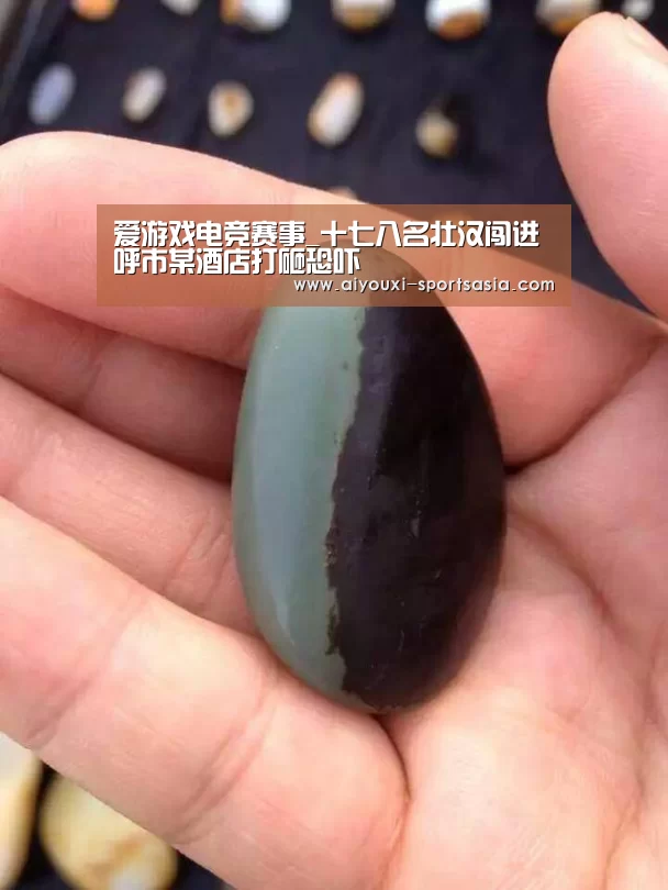 爱游戏电竞赛事_十七八名壮汉闯进呼市某酒店打砸恐吓(图1) 爱游戏电竞赛事