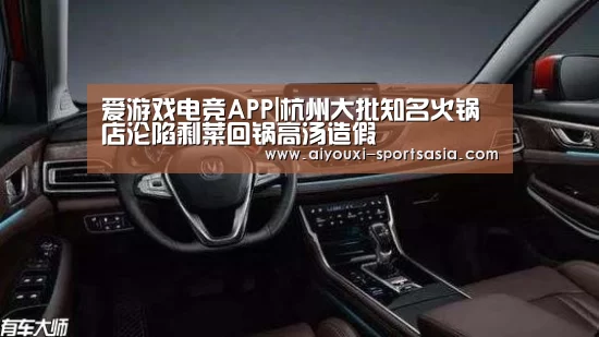 爱游戏电竞官网
