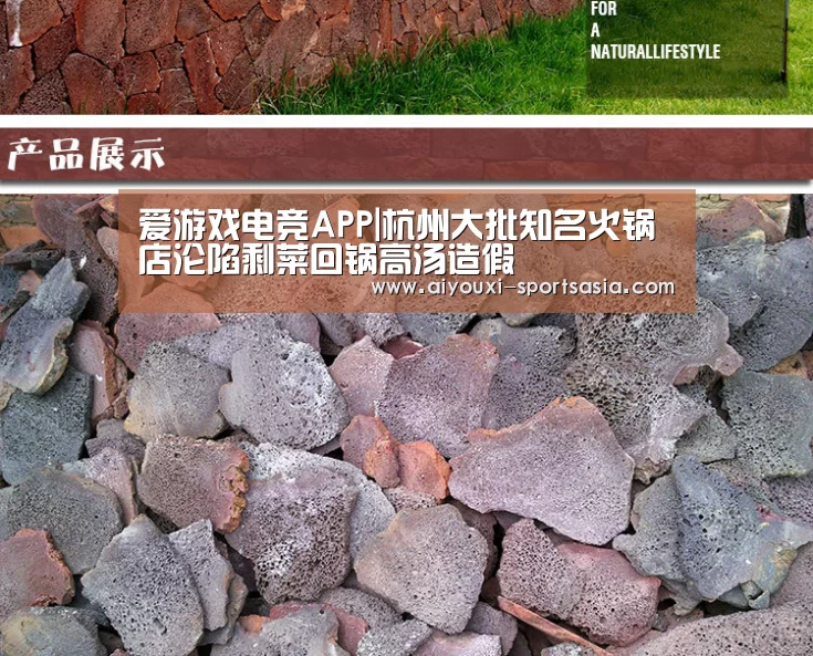爱游戏电竞官网